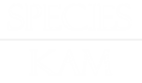 [Translate to English:] Species Kam